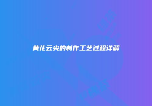 黄花云尖的制作工艺过程详解