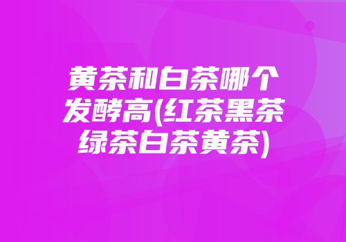 黄茶和白茶哪个发酵高(红茶黑茶绿茶白茶黄茶)