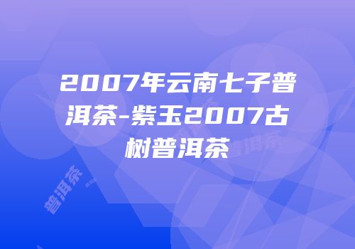 2007年云南七子普洱茶-紫玉2007古树普洱茶