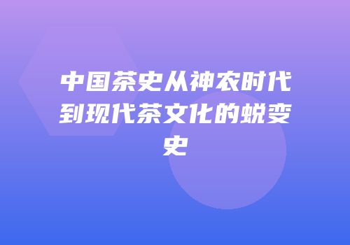 中国茶史从神农时代到现代茶文化的蜕变史