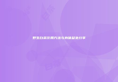 野生白茶饮用方法与身体益处分享
