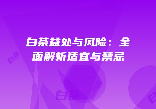 白茶益处与风险：全面解析适宜与禁忌