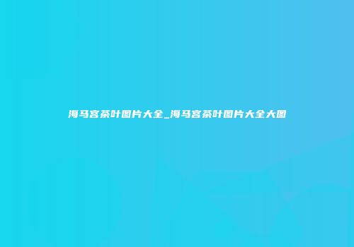 海马宫茶叶图片大全_海马宫茶叶图片大全大图