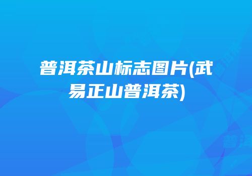 普洱茶山标志图片(武易正山普洱茶)