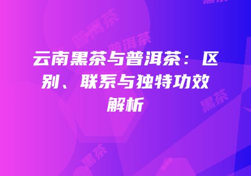 云南黑茶与普洱茶：区别、联系与独特功效解析