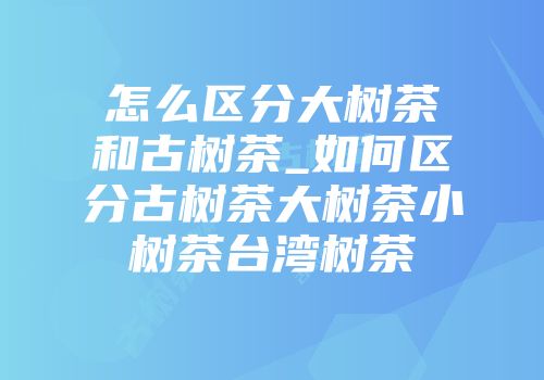 怎么区分大树茶和古树茶_如何区分古树茶大树茶小树茶台湾树茶
