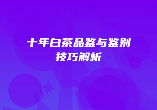 十年白茶品鉴与鉴别技巧解析