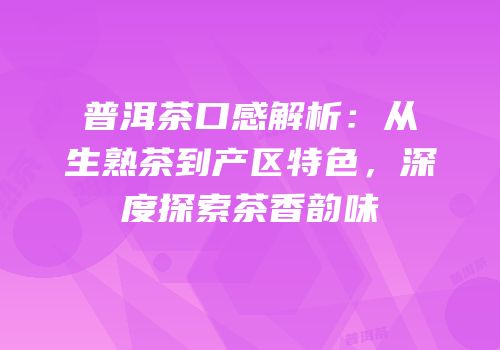 普洱茶口感解析：从生熟茶到产区特色，深度探索茶香韵味