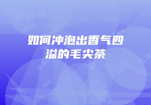 如何冲泡出香气四溢的毛尖茶