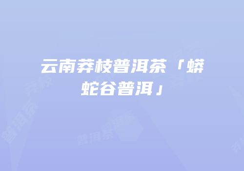 云南莽枝普洱茶「蟒蛇谷普洱」