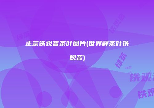 正宗铁观音茶叶图片(世界峰茶叶铁观音)