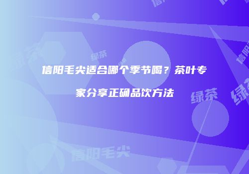 信阳毛尖适合哪个季节喝？茶叶专家分享正确品饮方法