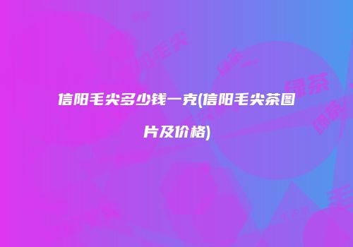 信阳毛尖多少钱一克(信阳毛尖茶图片及价格)