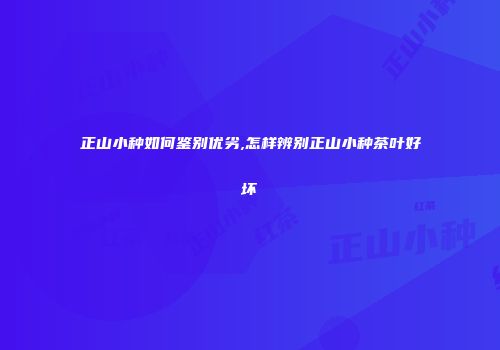 正山小种如何鉴别优劣,怎样辨别正山小种茶叶好坏
