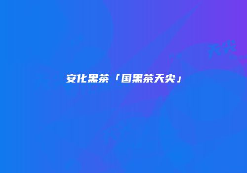 安化黑茶「国黑茶天尖」