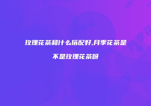 玫瑰花茶和什么搭配好,月季花茶是不是玫瑰花茶呀