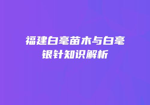 福建白毫苗木与白毫银针知识解析