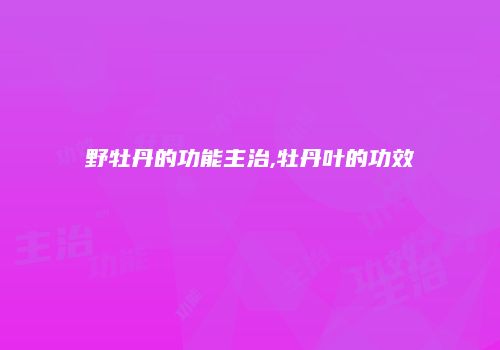 野牡丹的功能主治,牡丹叶的功效