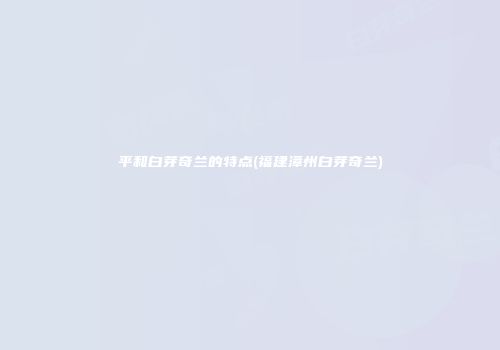平和白芽奇兰的特点(福建漳州白芽奇兰)