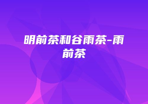 明前茶和谷雨茶-雨前茶