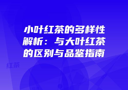 小叶红茶的多样性解析：与大叶红茶的区别与品鉴指南
