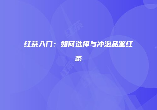 红茶入门：如何选择与冲泡品鉴红茶