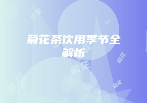 菊花茶饮用季节全解析