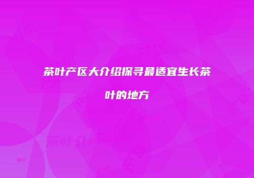茶叶产区大介绍探寻最适宜生长茶叶的地方