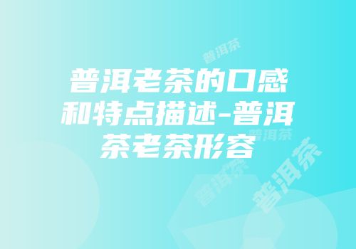 普洱老茶的口感和特点描述-普洱茶老茶形容