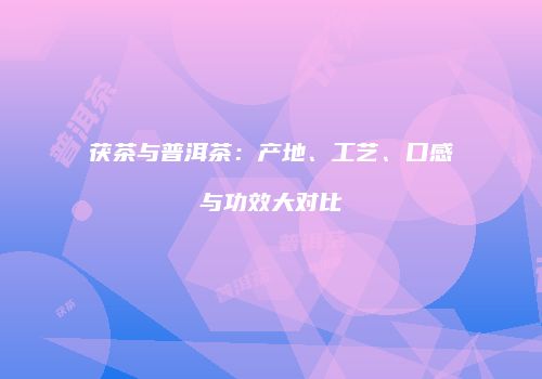 茯茶与普洱茶：产地、工艺、口感与功效大对比