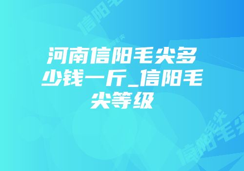 河南信阳毛尖多少钱一斤_信阳毛尖等级