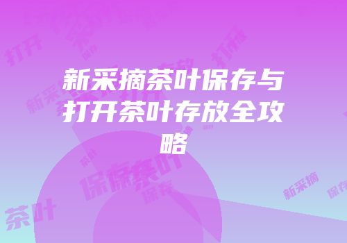 新采摘茶叶保存与打开茶叶存放全攻略
