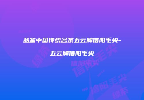 品鉴中国传统名茶五云牌信阳毛尖-五云牌信阳毛尖