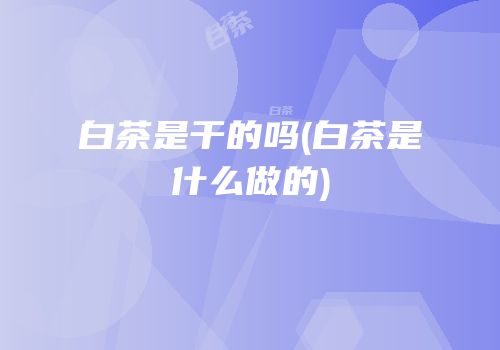 白茶是干的吗(白茶是什么做的)