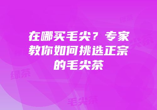在哪买毛尖？专家教你如何挑选正宗的毛尖茶