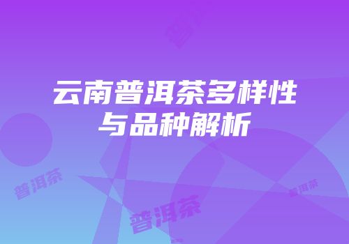 云南普洱茶多样性与品种解析