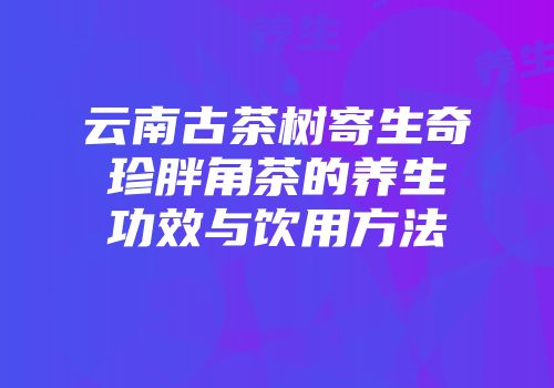 云南古茶树寄生奇珍胖角茶的养生功效与饮用方法