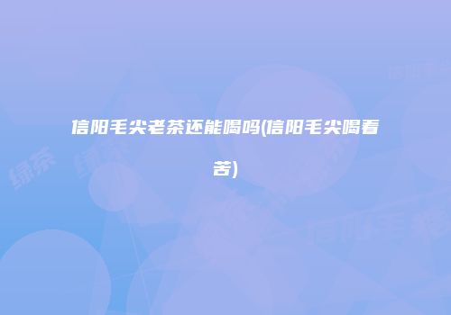 信阳毛尖老茶还能喝吗(信阳毛尖喝着苦)