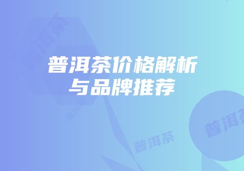 普洱茶价格解析与品牌推荐