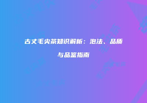 古丈毛尖茶知识解析：泡法、品质与品鉴指南