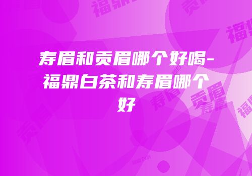 寿眉和贡眉哪个好喝-福鼎白茶和寿眉哪个好