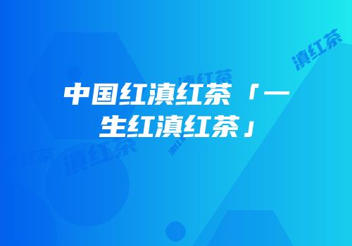 中国红滇红茶「一生红滇红茶」