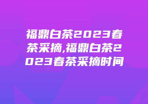 福鼎白茶2023春茶采摘,福鼎白茶2023春茶采摘时间