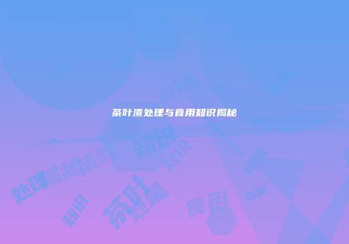 茶叶渣处理与食用知识揭秘