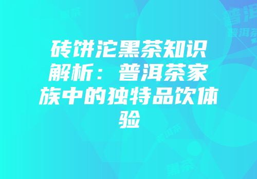 砖饼沱黑茶知识解析：普洱茶家族中的独特品饮体验