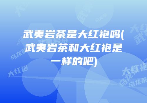 武夷岩茶是大红袍吗(武夷岩茶和大红袍是一样的吧)