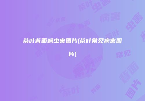 茶叶背面螨虫害图片(茶叶常见病害图片)