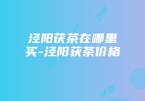 泾阳茯茶在哪里买-泾阳获茶价格