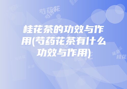 桂花茶的功效与作用(芍药花茶有什么功效与作用)