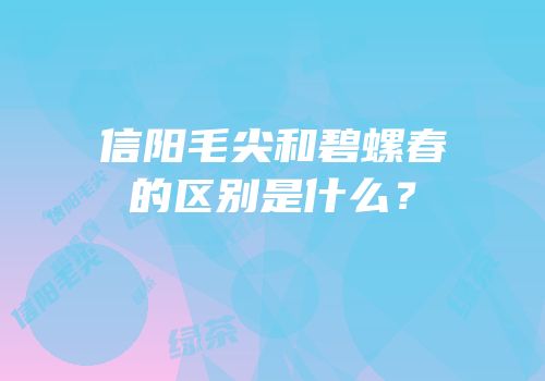 信阳毛尖和碧螺春的区别是什么？